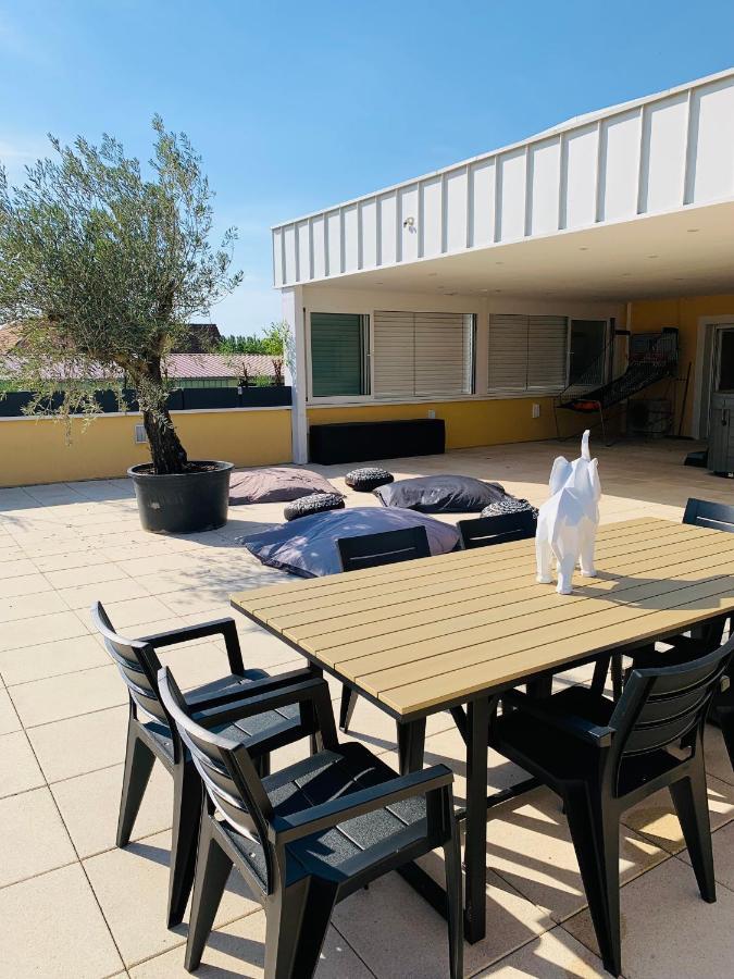 La Terrasse Du Parc Διαμέρισμα Marckolsheim Εξωτερικό φωτογραφία